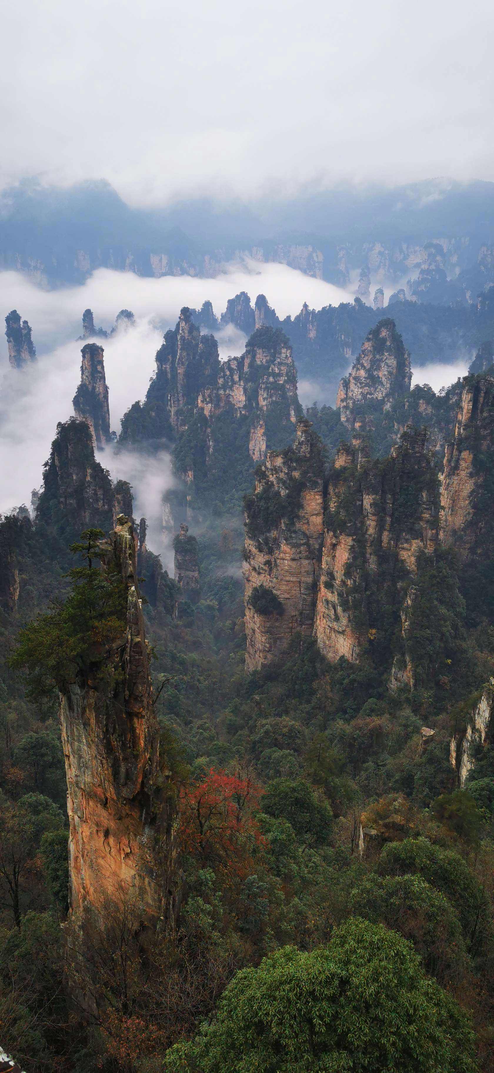 {捕魚機}(张家界武陵源二日游最佳路线)